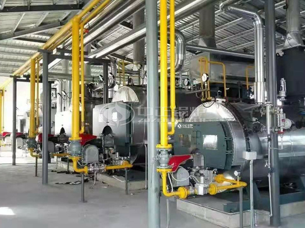 运行在上海鲜花港的中正WNS系列<a href=../product/gas-oil.html target=_blank class=infotextkey>燃气锅炉</a>